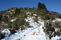 This is the path up to Poon Hill.