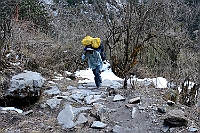The snow begins to be seen along the trail and Khud Prasad is struggling on.