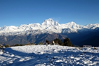 Poon Hill with Mount Dhaulagiri (8172 m asl) in the background.