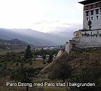 Paro Dzong with Paro town in the background