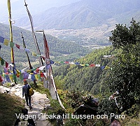 On our way back from Tiger´s Nest to the bus and Paro