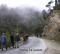 Dochu La Pass (3150 m)