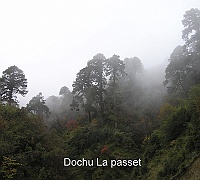 Dochu La Pass (3150 m)