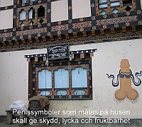 Penis symbols painted on the houses provide protection, happiness and fertility