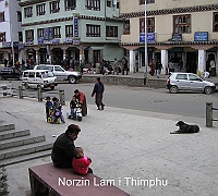 Norzin Lam in Thimphu