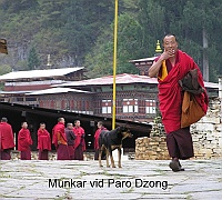 Monks at Paro Dzong
