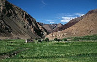Landscape near Gya