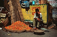 Tomato Dealers in Manali