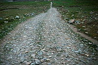 The road between Penzila pass and Padum