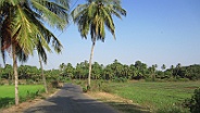 Road between Airport Road and Bollywood Hotel in Colva