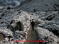 We continue down to Langtang village