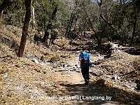 Robin continue to Langtang village