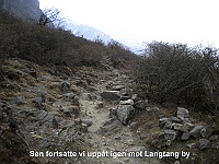 After the break we continue to Langtang village
