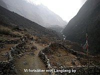 We continue to Langtang village
