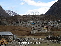 Langtang Village (3430m)