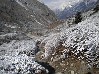 We continue down to Langtang village
