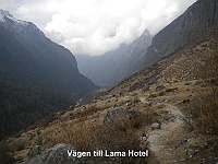 We continue down to Lama Hotel