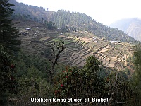View from the trail to Brabal