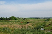 Countryside in Moldova.