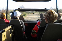 Here is our open truck that we had during the safari and it was freezing cold until the sun came up.