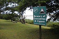 to check out crocodiles and hippos.