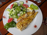 which was fried fish with salad.