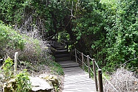 The trail to the viewpoint and suspension bridges.