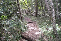 It became a different trail (Blue Duiker Trail) in the afternoon.