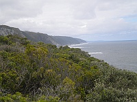 The view from the lookout point of the Blue Duiker Trail.