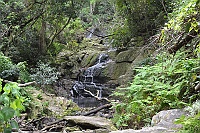 We are approaching the small waterfall on the trek "Blue Duiker Trail".