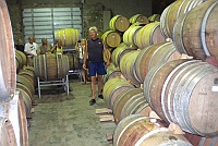 Anders among all wine barrels within their storage place.