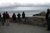 We made ​​a stop in Hermanus to watch the whales.