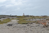 The trail back to the car park and Cape Agulhas lighthouse in the background.