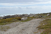 There, among the stones is Cape Agulhas.