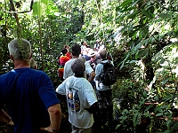 Walking in the the rain forest.
