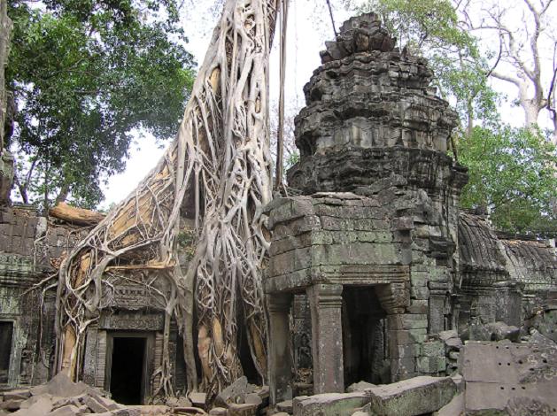 Ta Prohm templet vid Angkor Kambodja